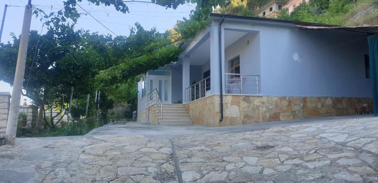Green Forest Berat Extérieur photo